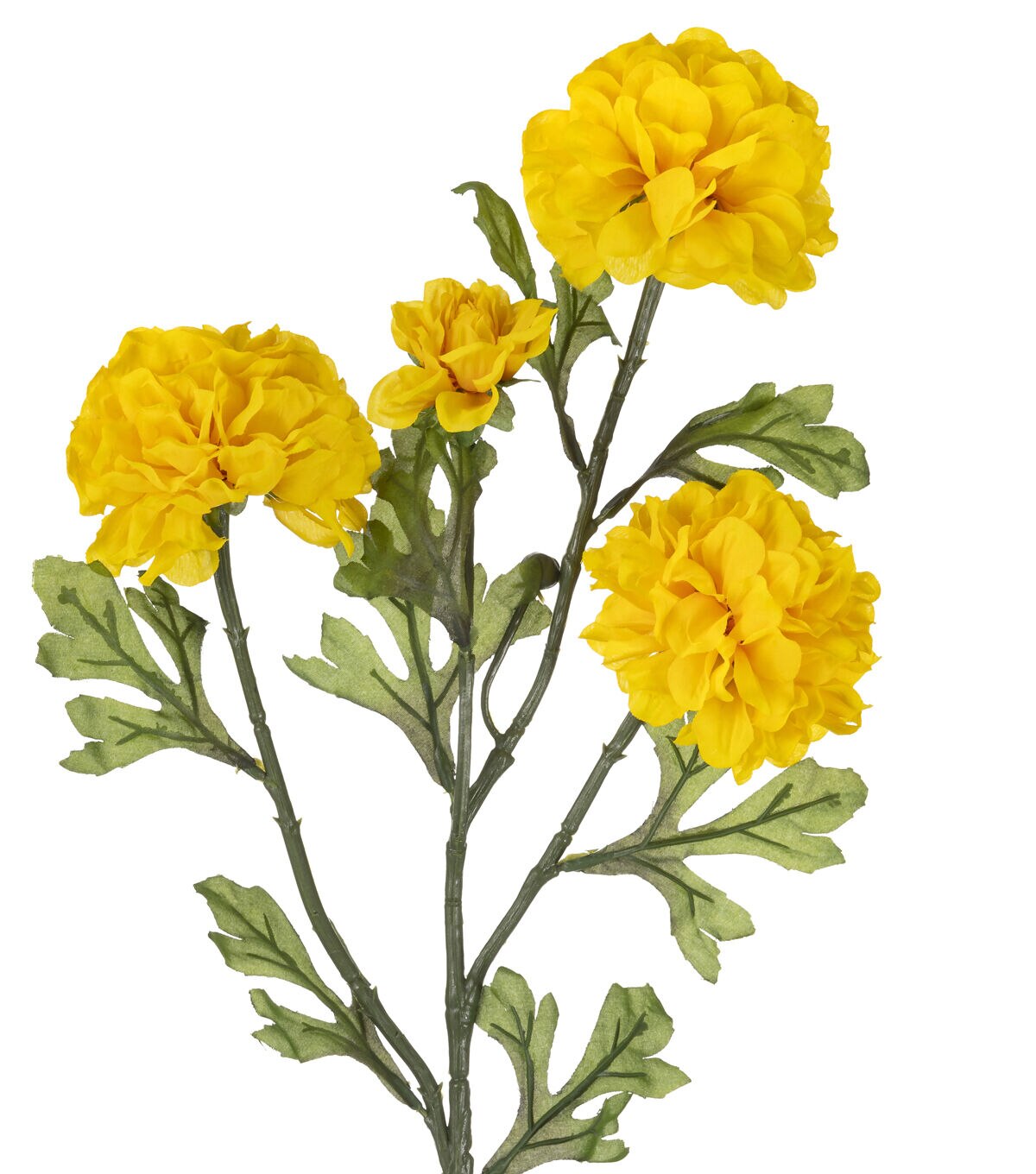 30 Yellow Marigold Stem by Bloom Room